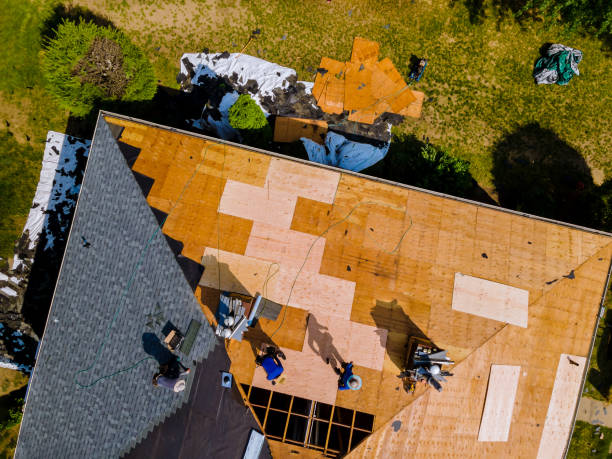 Best Roof Gutter Cleaning  in Patchogue, NY